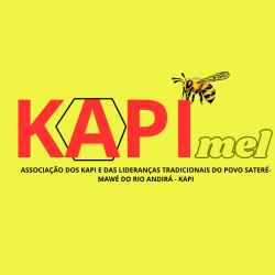 KAPI (3)